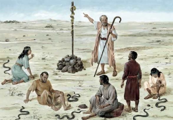 医疗商标logo设计,医疗养老护理公司logo