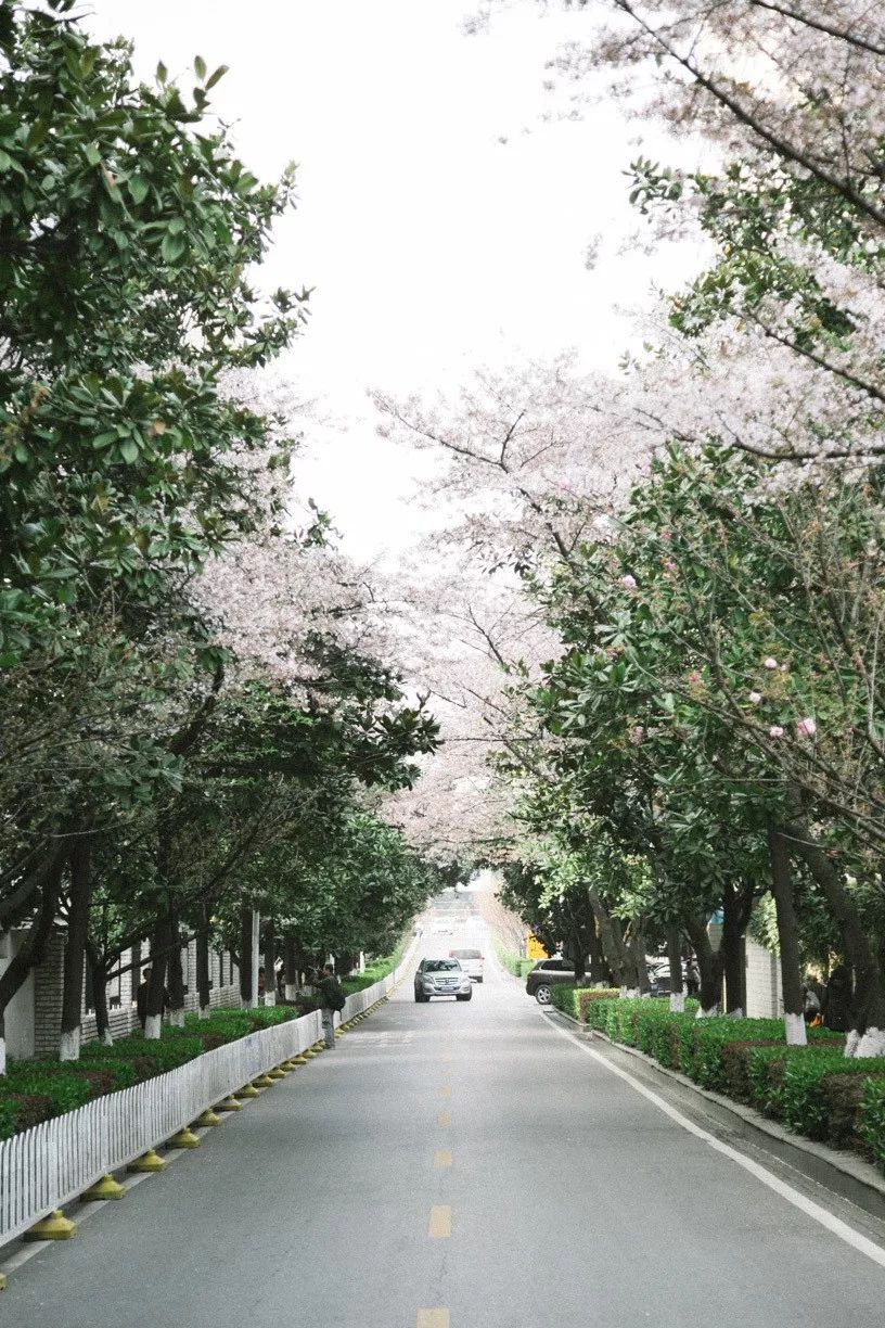 武汉11月打卡景点和网红地,武汉50个值得打卡的地方