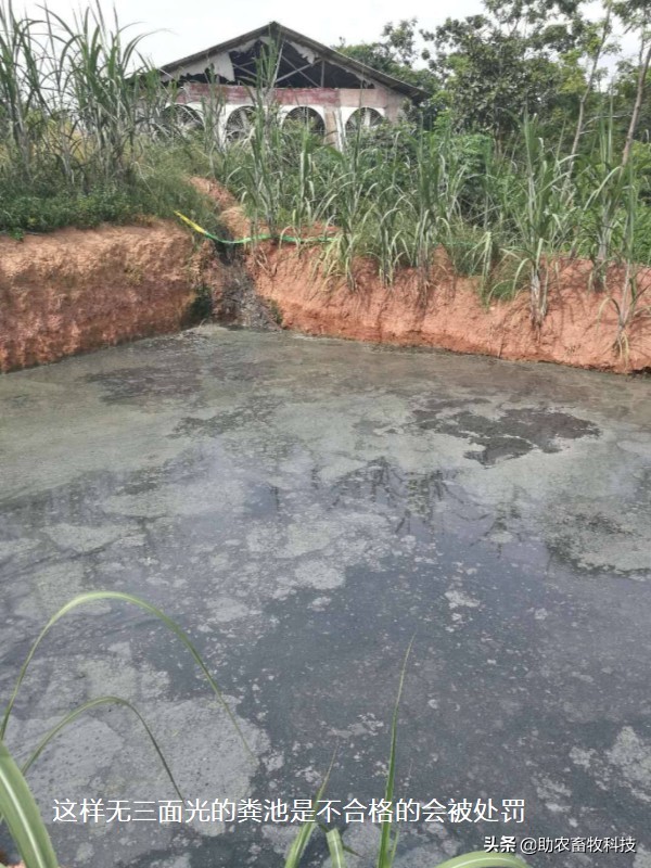 养殖场粪水应该如何处理,养殖场废水无害化处理方法