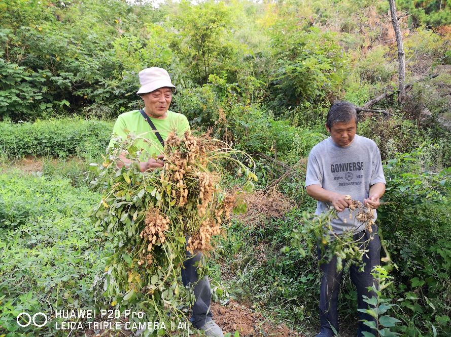 去墟沟最好玩的地方,到墟沟站后该如何到海边