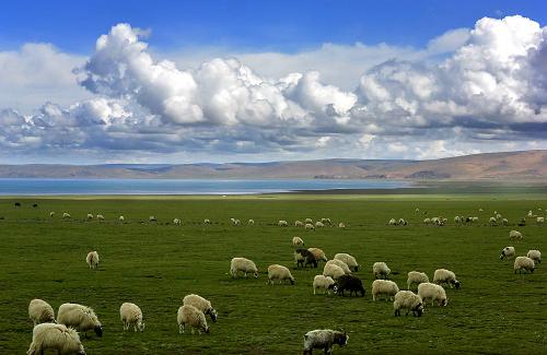 打造高原生态文明高地方案,高原美丽乡村农村人居环境治理