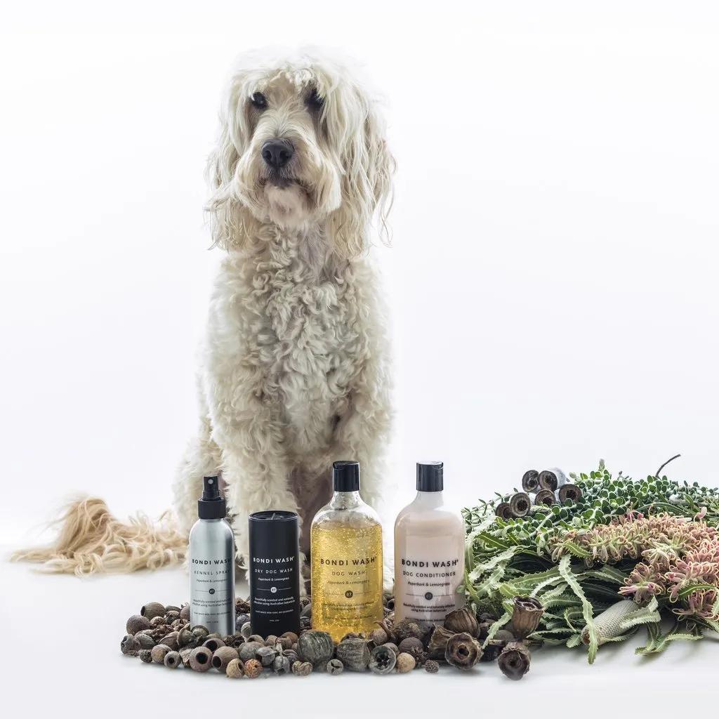 衣服买得好，衣物护理更重要！品质家庭都用这些洗护好物