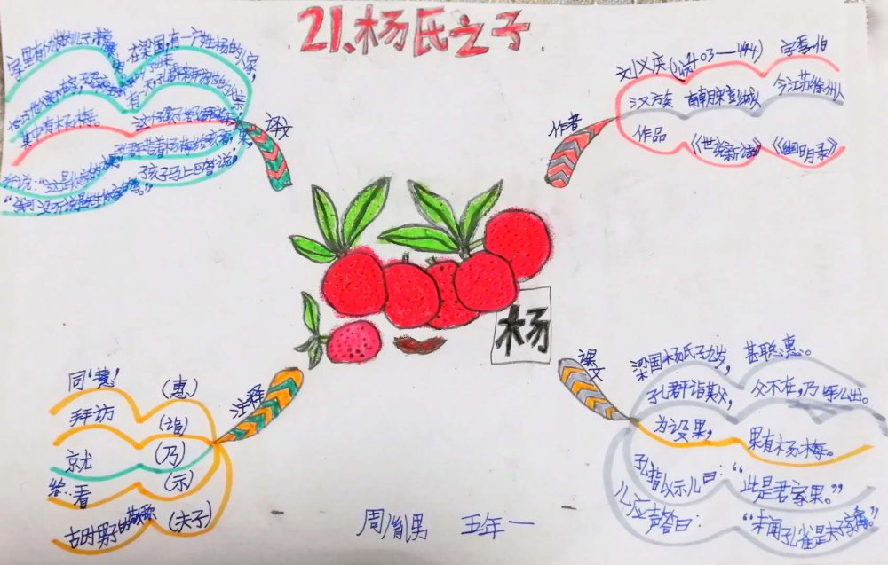 杨氏之子思维导图简单漂亮画法,语文思维导图画法童年