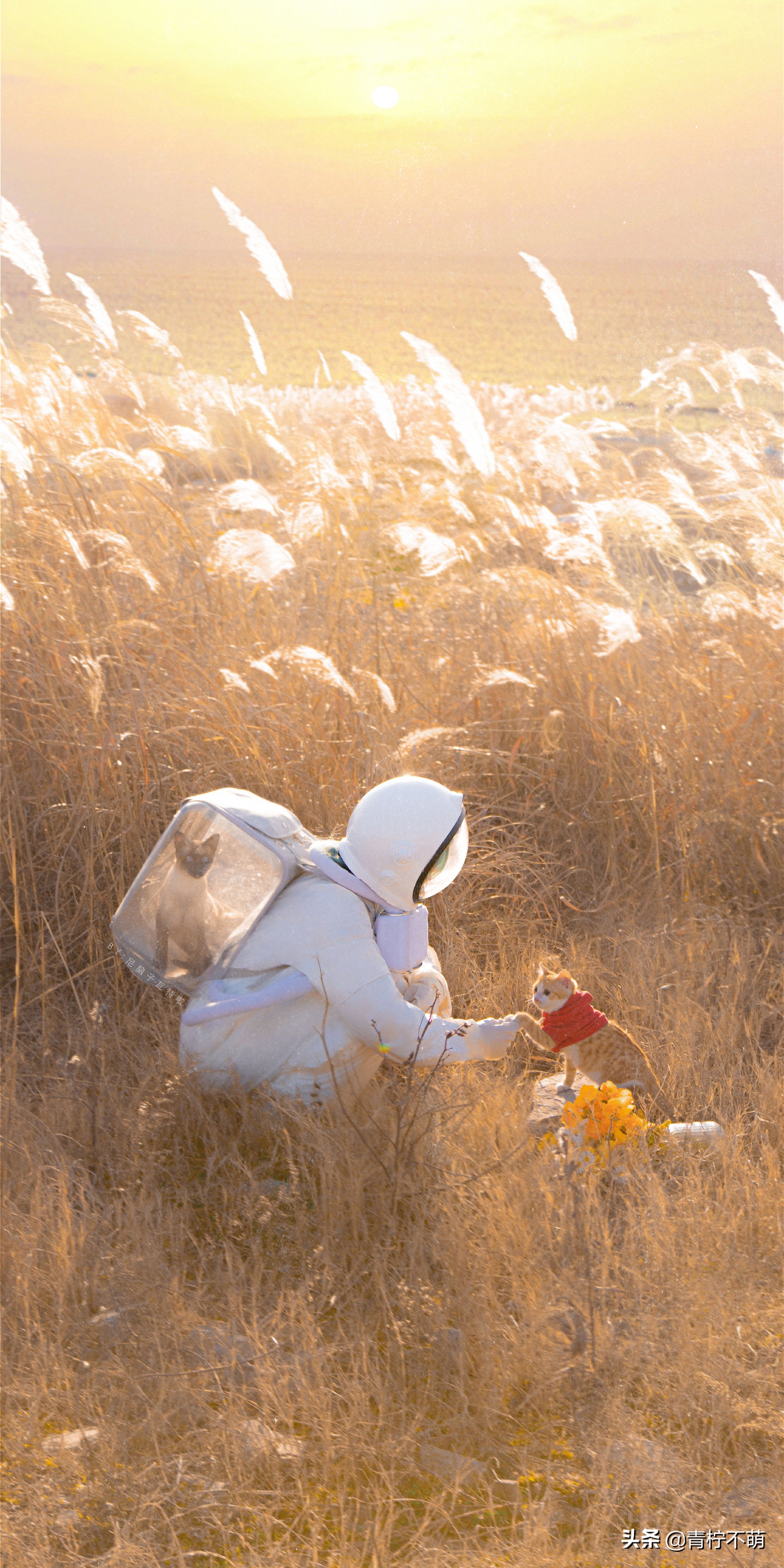 苹果13原装高清壁纸4k全屏无水印,4k超清壁纸1080p无水印全屏苹果