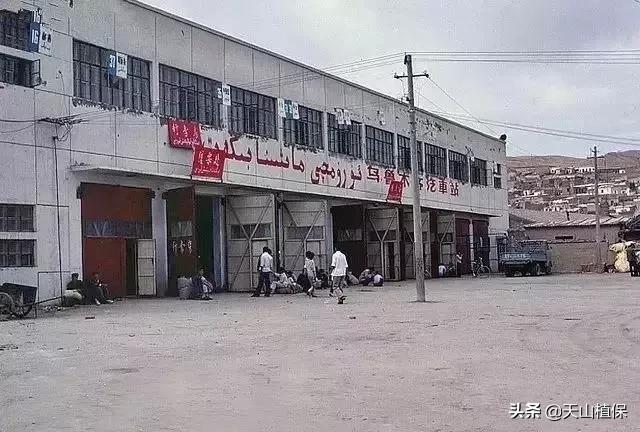 上榜啦！*疆新**鸟市和石市即将被国家命名！未来发展不可估量