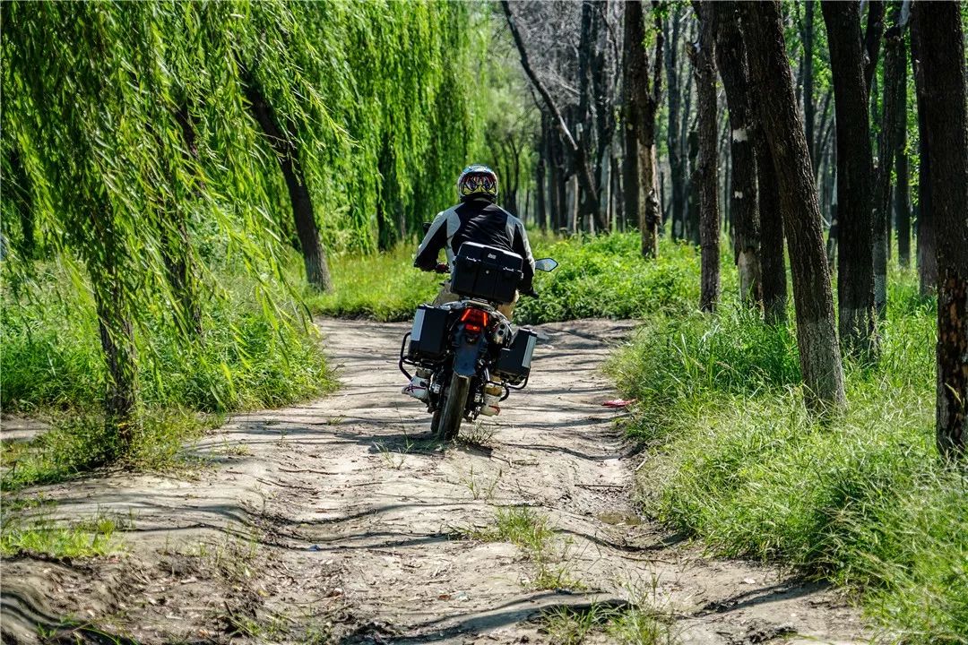 宗申rx1s拉力摩托车,愤怒的小鸟试玩