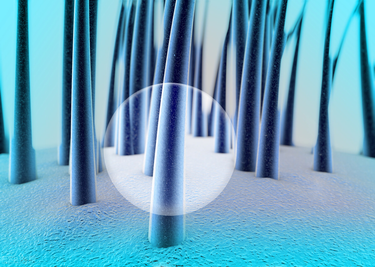 众山生物洗护专属玻尿酸｜SMOHYA致泽