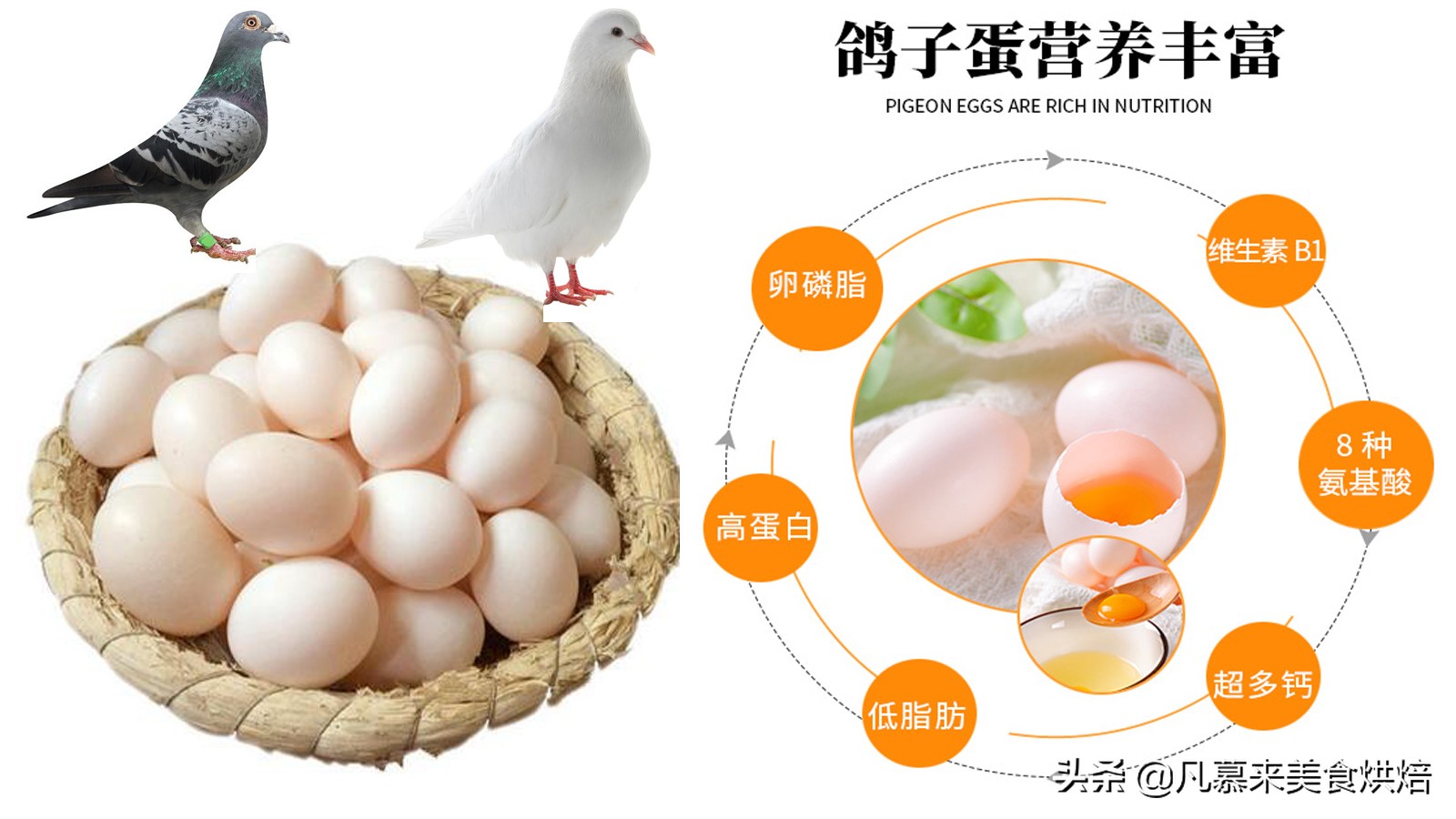 红楼梦刘姥姥进大观园吃鸽子蛋,红楼梦只有姥姥才能吃的一道菜