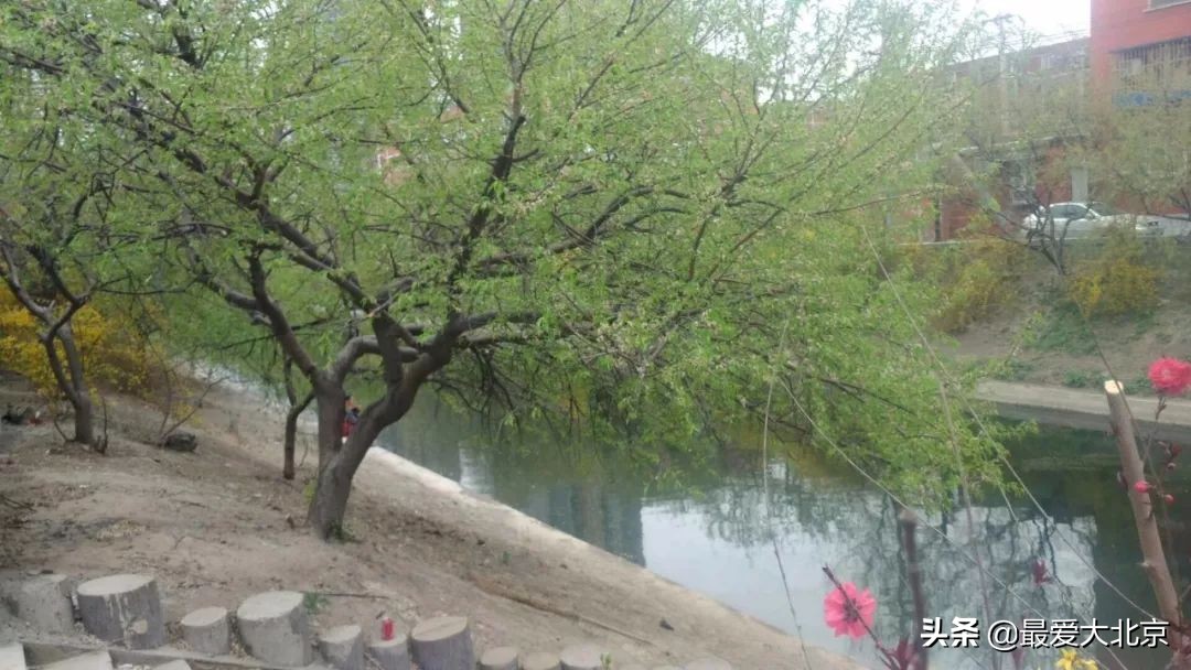 八里庄为啥圈起来,八里庄的由来故事