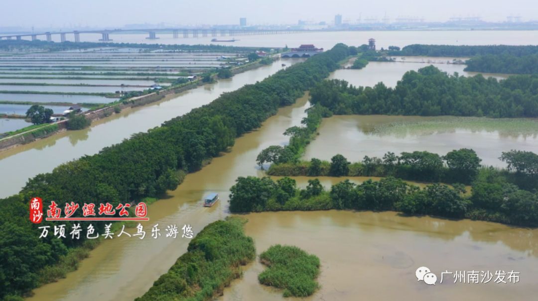 南沙真的美,南沙以后到底会怎么样