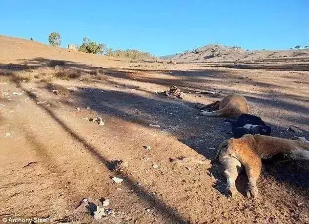 地球5年后的大灾难,地球病了会好起来吗