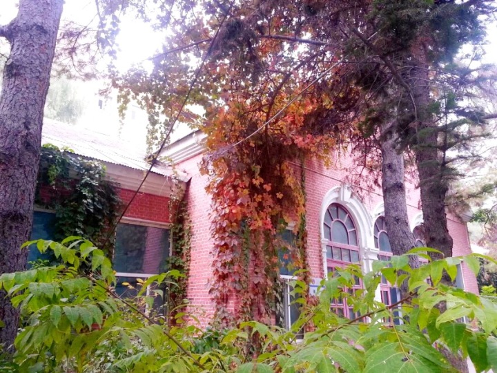 吉林省医学高校排名,吉林省22所普通本科大学