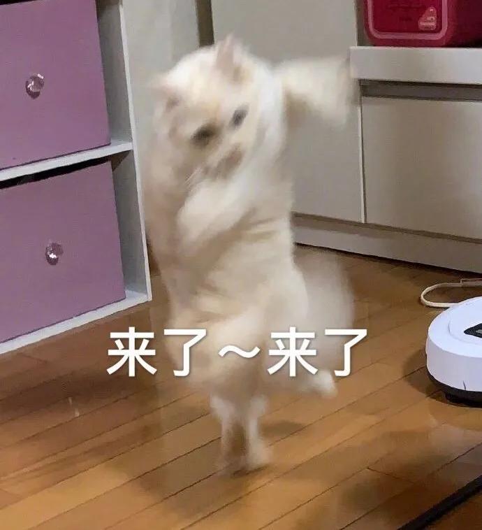 下雨天被子去螨虫的方法,春天天气潮湿怎么去螨虫