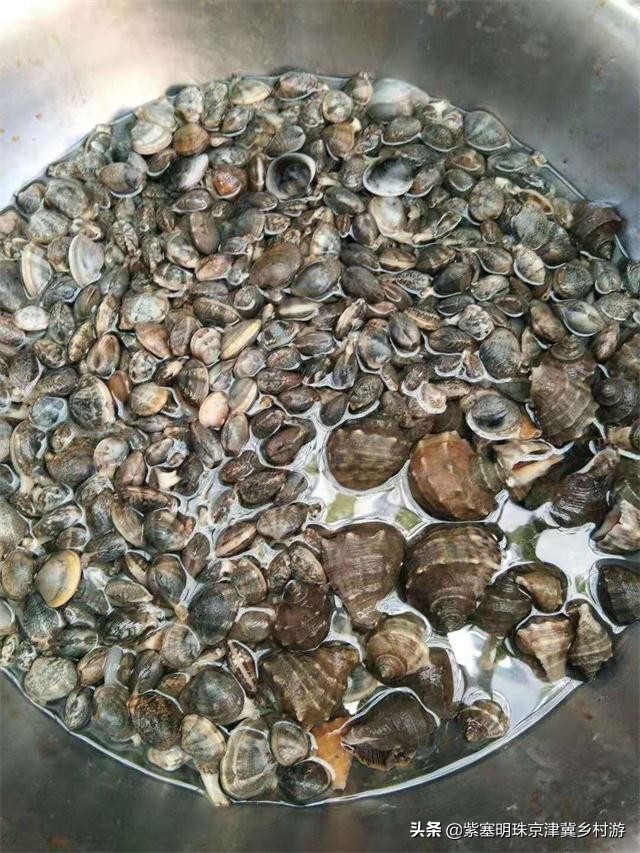 人间六月天，来海岛许一场似水流年——唐山乐亭韩姐农家院