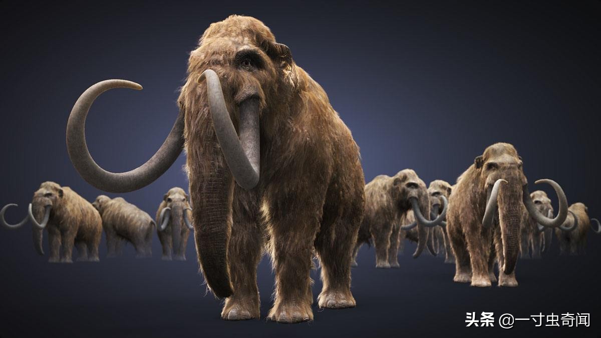 科学家复活猛犸象成功了吗,猛犸象被科学家复活出来了吗