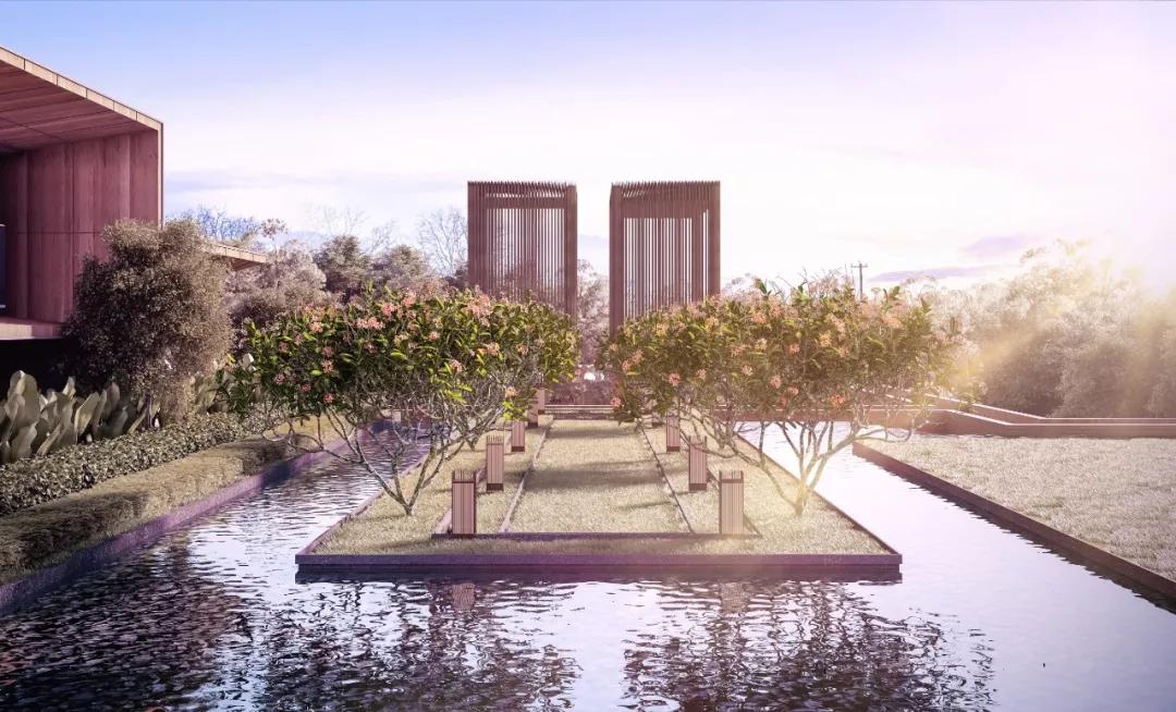 新加坡房地产发展趋势,取得亚洲冠军有什么待遇