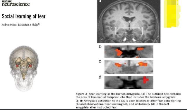 本命年会真的倒霉吗,本命年不顺有科学依据吗