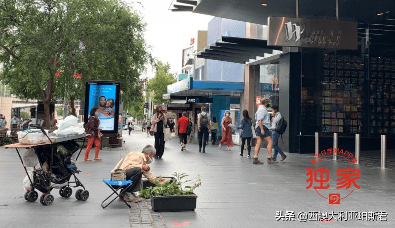 中国大爷在澳洲步行街摆摊卖菜惹争议,网友褒贬不一