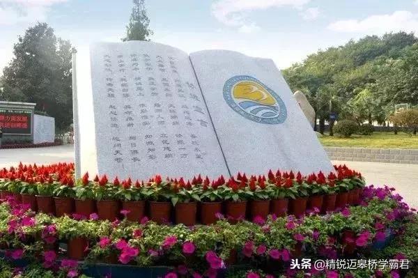 燕子矶新添高颜值网红学校,未来名校阵容堪比河西南!