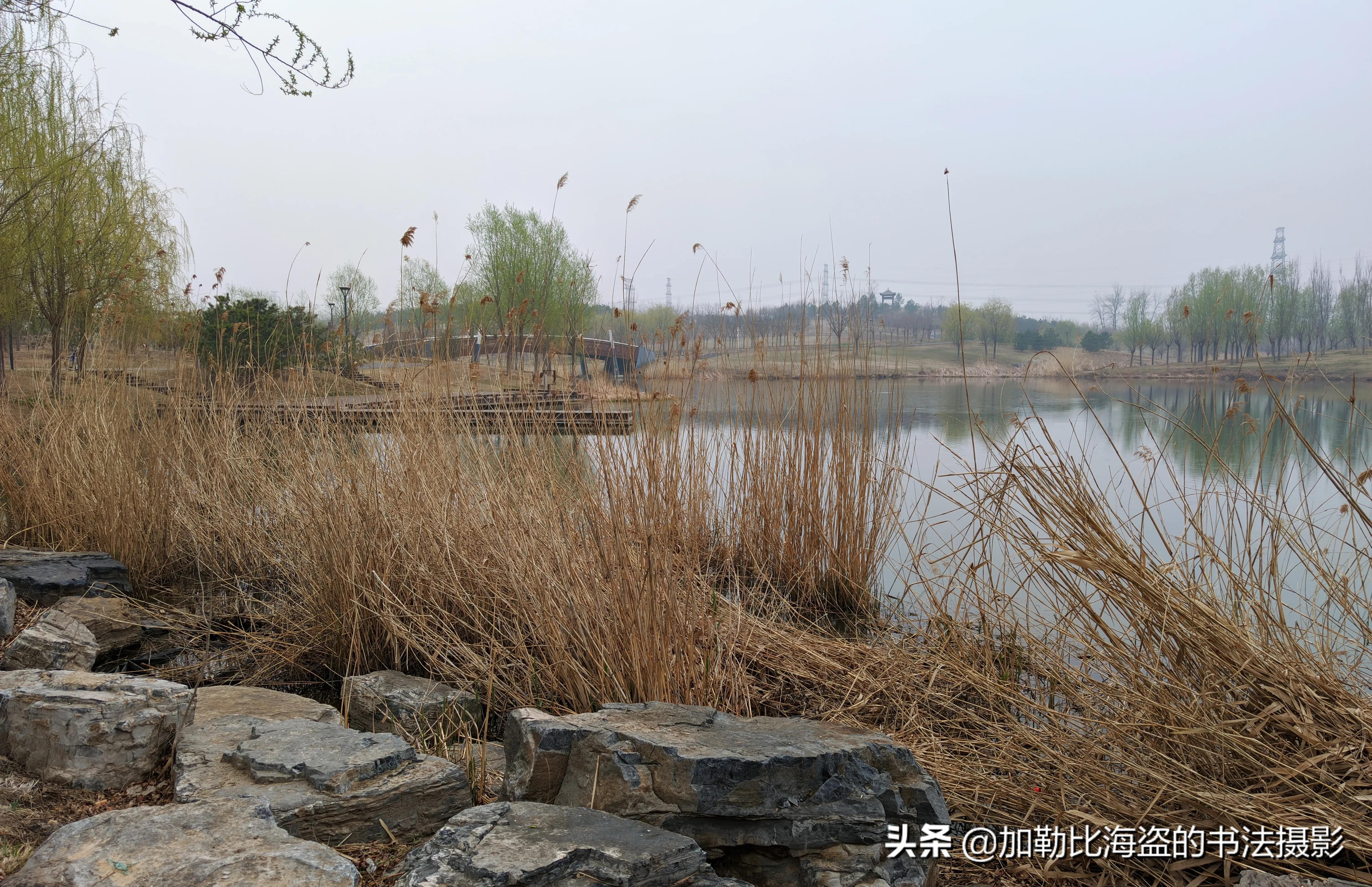 如何在公园里拍出氛围感照片,公园摄影怎么拍出高级感