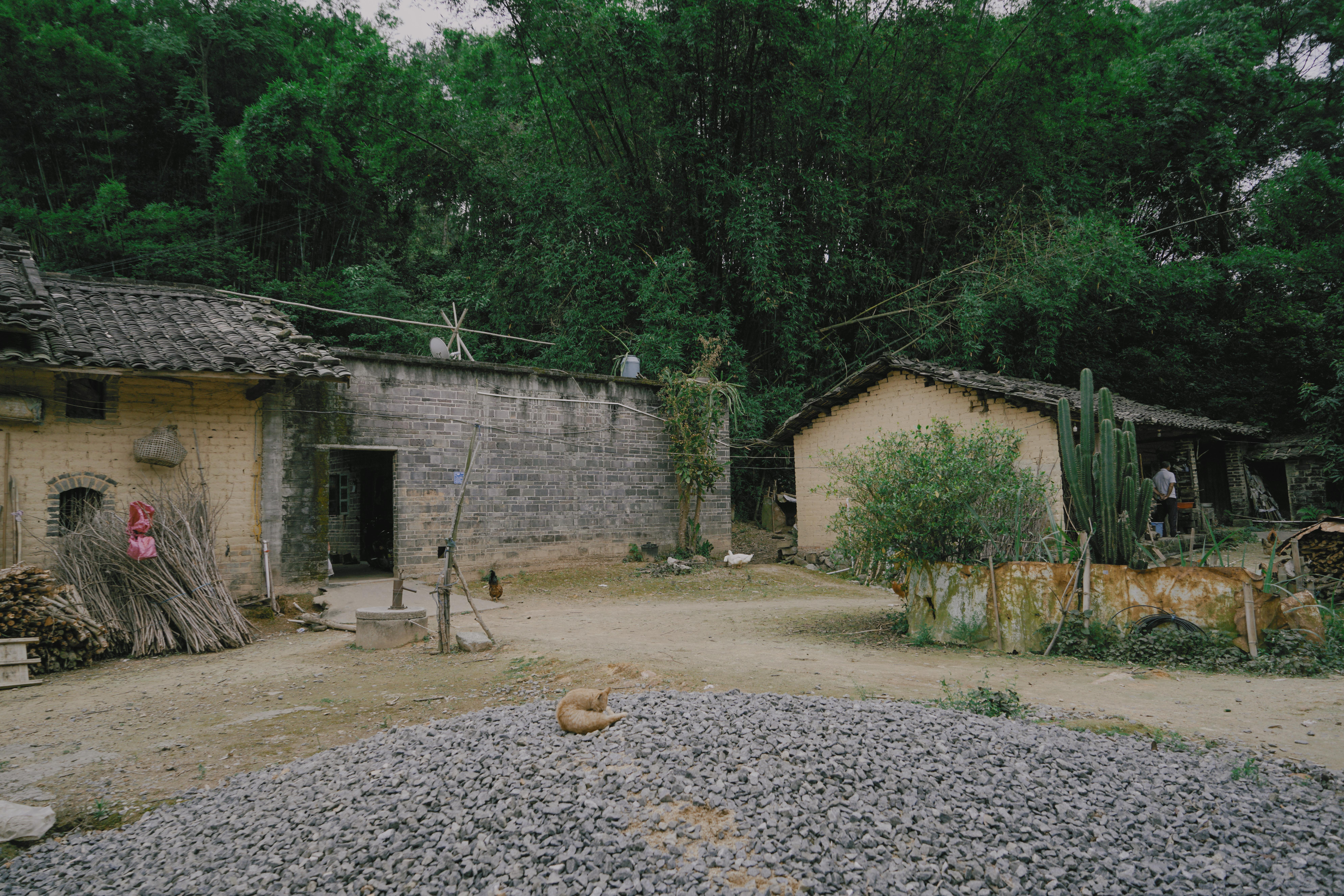 广西十岁百香果女童遇害案过程,广西百香果女孩遇害案进展