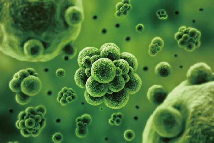 白酒的独特性是怎样炼成的,白酒是怎么搞才好喝的