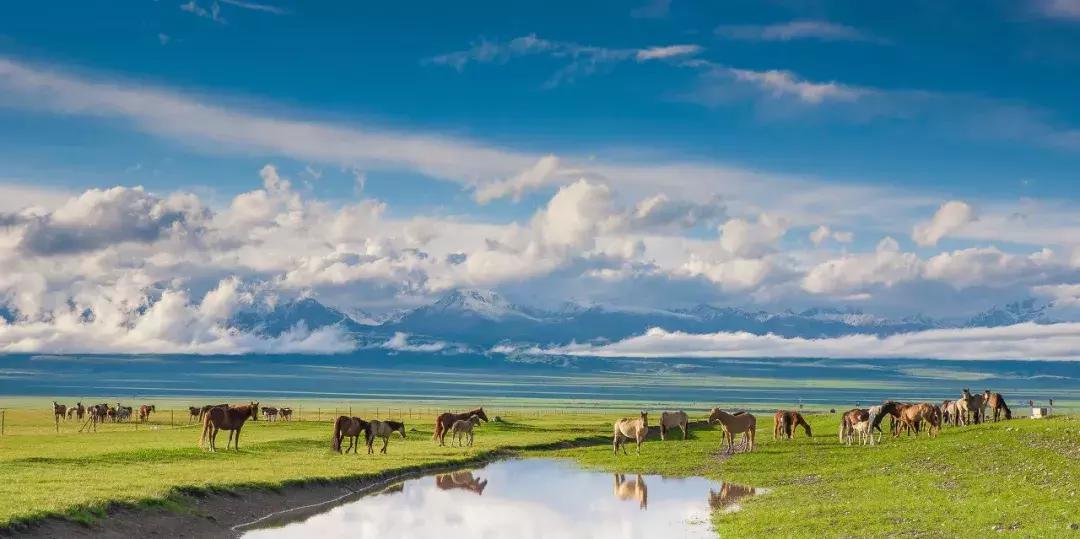新疆的天堂在哪,新疆人间天堂在哪
