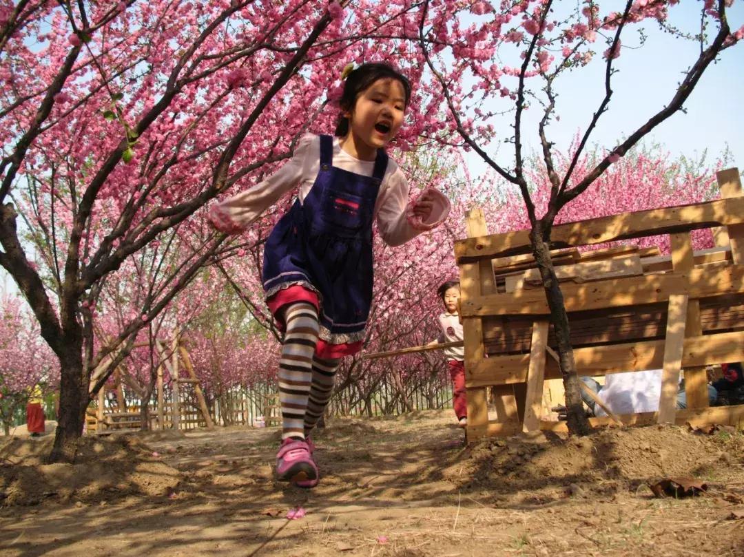 中国第一部00后成长纪录片：新一代终于不再争着当官发财