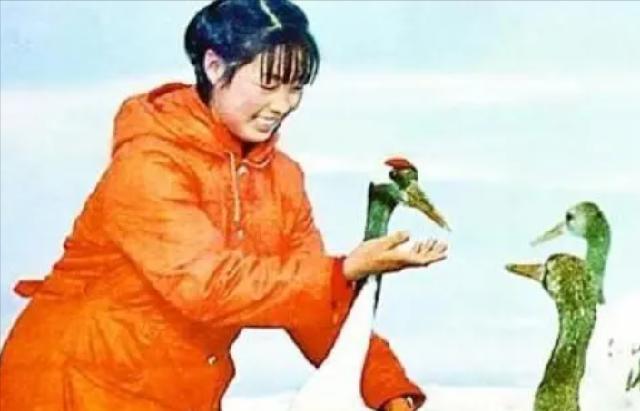 她是第一位在保护战线殉职的烈士，弟弟接班后，43岁时不幸牺牲