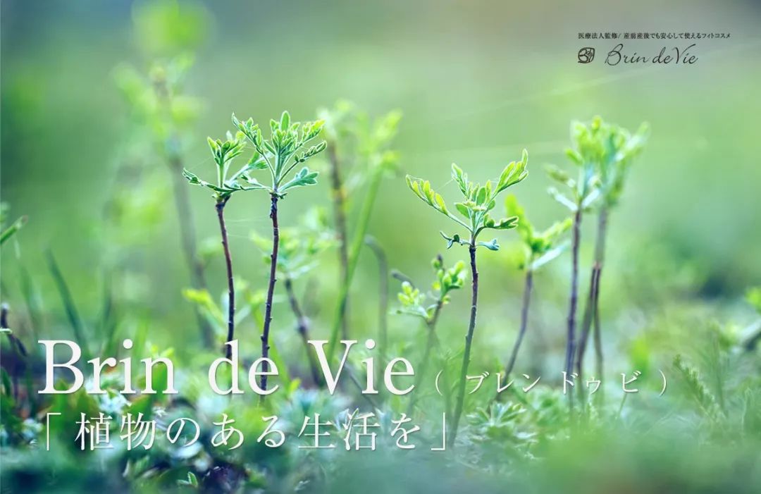 温柔の私密呵护，从此不做异味少女