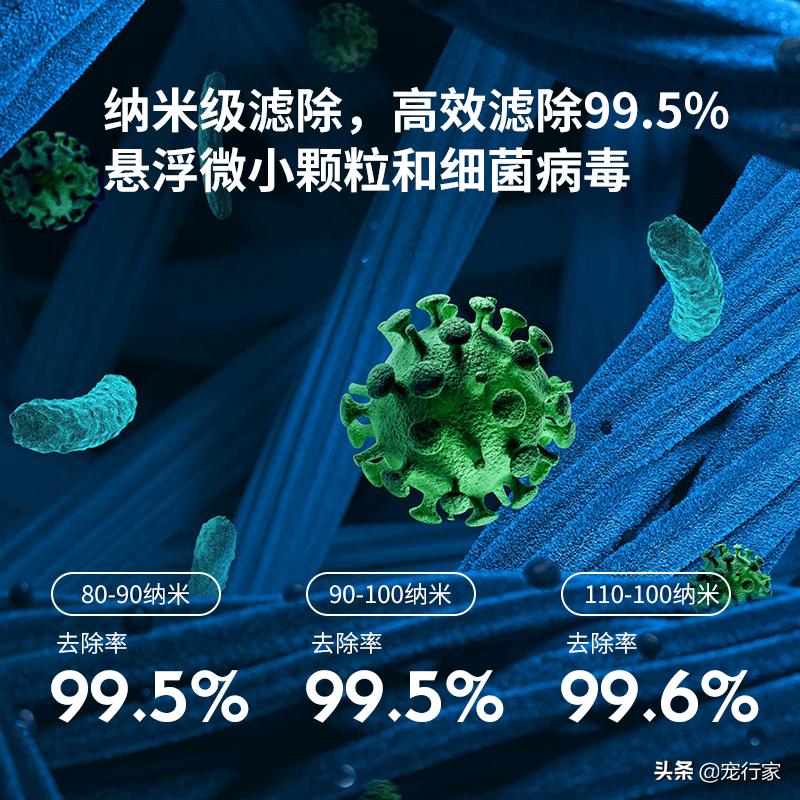 房间养宠物有异味怎么解决,养宠物后屋里有臭味怎么去除