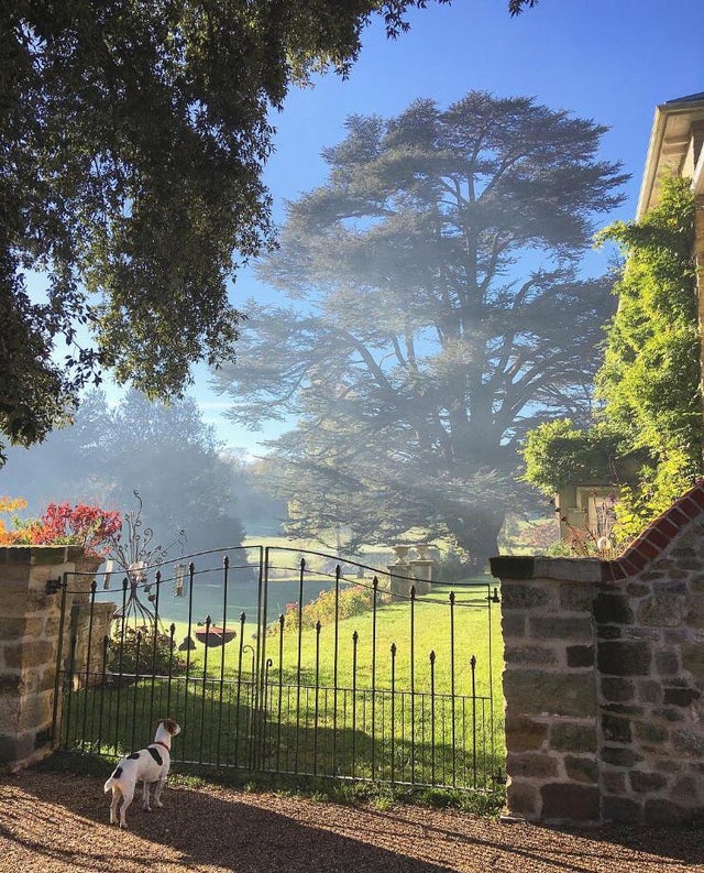 盘点被电鳗电死的人,鳄鱼咬住电鳗当场死亡