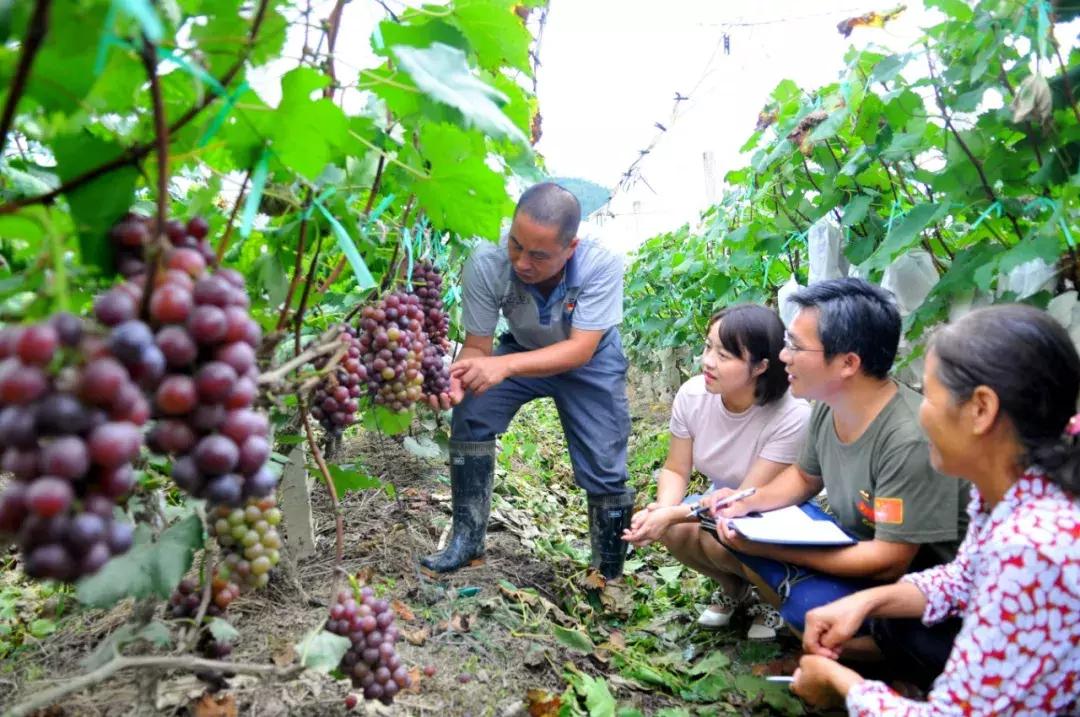 子时到子时,申时到亥时14个时辰