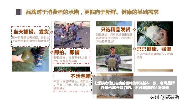 欧赛斯带你全方位洞察甲鱼市场发展趋势及竞争格局