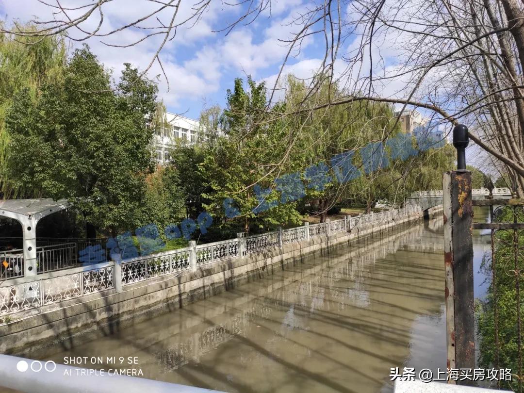 对口一梯队初中，热门程度越来越高，建平实验小学测评