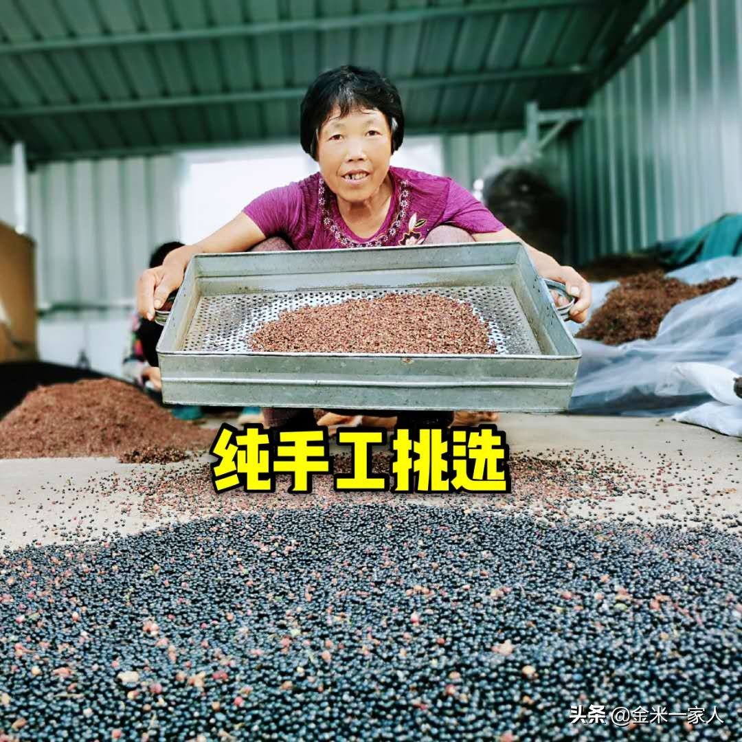 花椒好吃但是摘花椒也辛苦,教给大家采摘花椒的小技巧