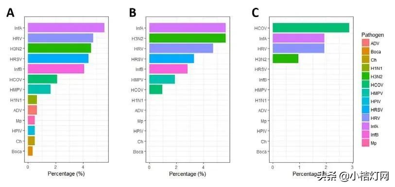 新冠病毒的帮凶,新冠病毒合并流感嗜血杆菌