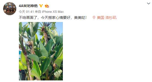 队徽孤存,队标抄袭的足球俱乐部