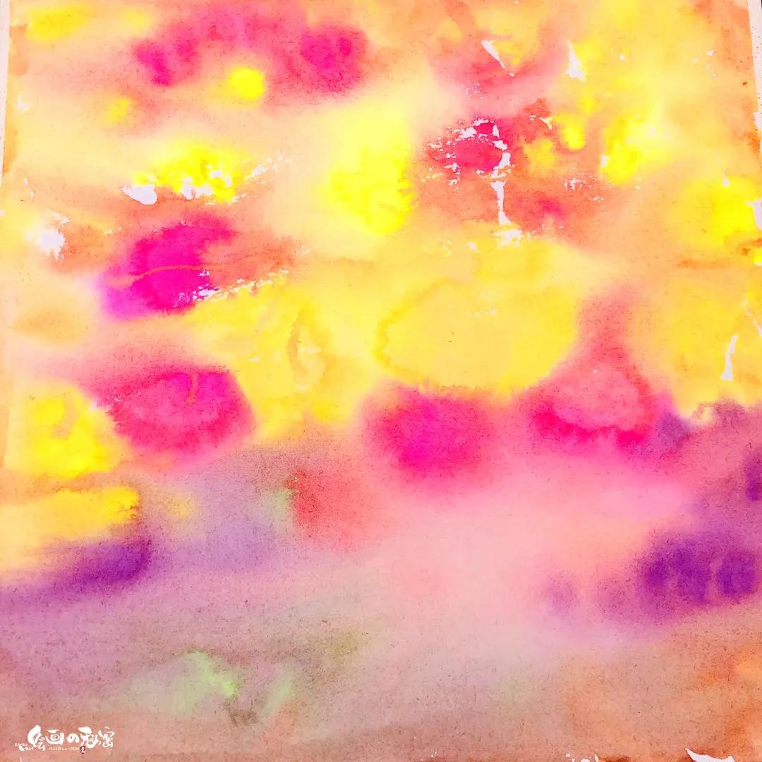 小刺猬植物名称是什么,跟刺猬一样的植物