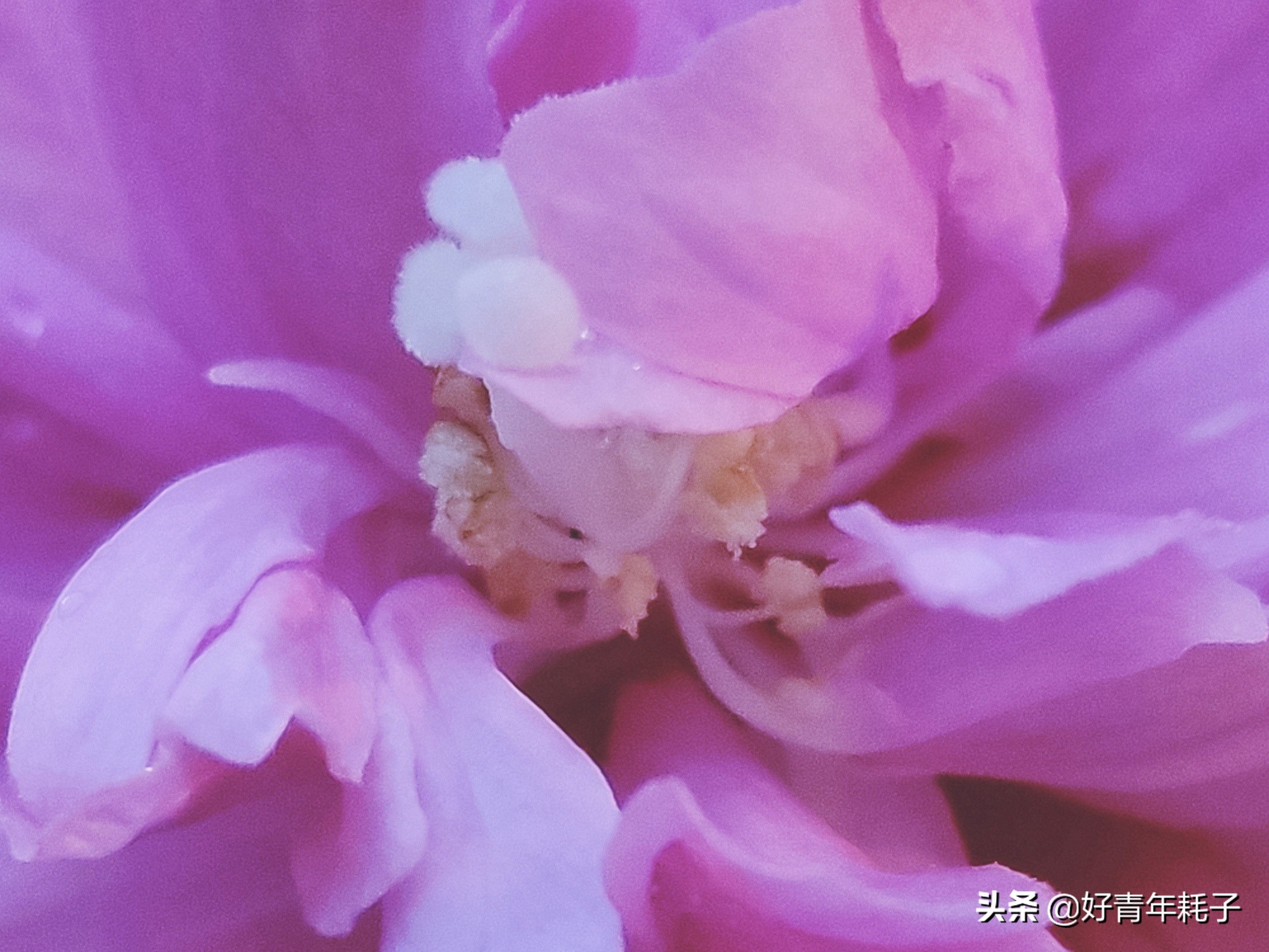 小米94800万像素拍照评测,小米cc9的相机是直出4800万吗