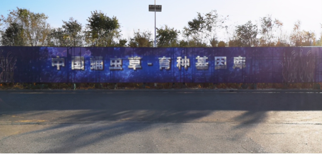 一心让“沈阳虫草”成为创富地标—辽宁弘侨生物科技董事长王弘