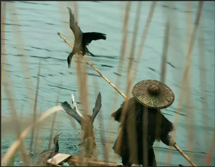 沅陵凤滩介绍,沅陵县凤滩水电站风景