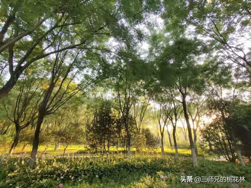 单身的人往往都是太优秀了,单身的人总是渴望能得到一段爱情