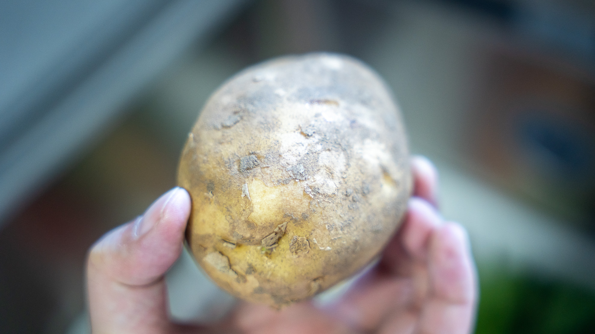 方太水槽洗碗机e5可以洗多少套,方太e5洗碗机空间