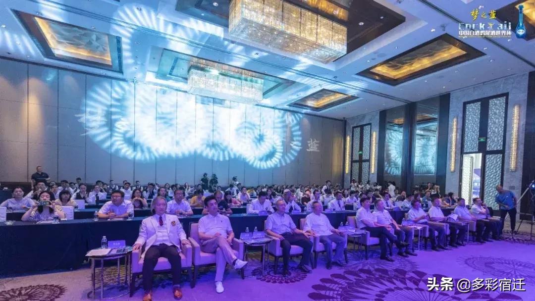 世界杯洋河观赛,洋河经典世界杯