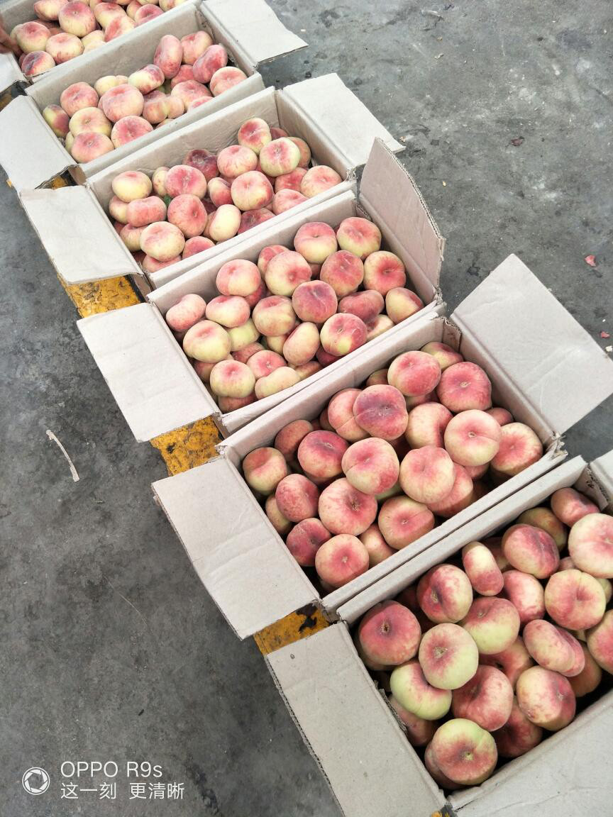 四川姑娘在新疆的生活日常,四川姑娘在南疆记录美好生活