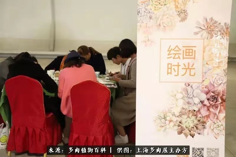 2023多肉展会直播,2023上海多肉植物展