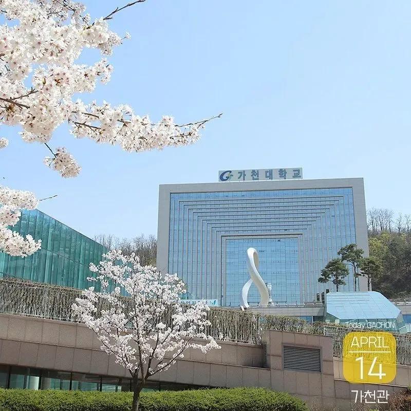 韩国中文授课MBA课程，可带薪进入韩国名企实习