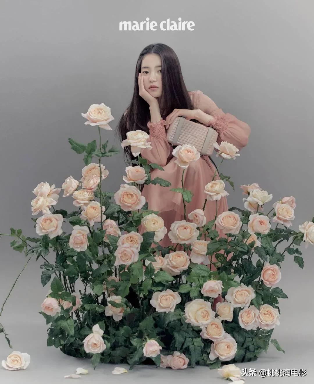 金泰梨时尚写真,金泰梨酷飒