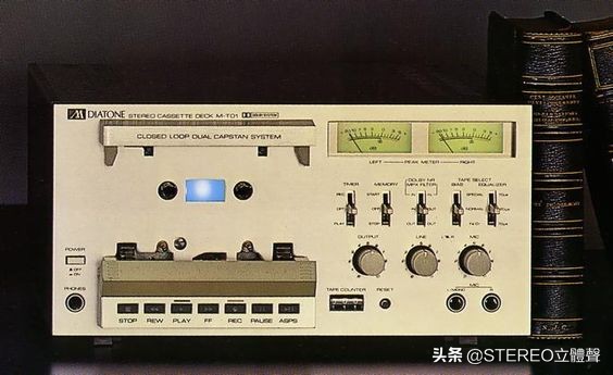 她们都很美全文免费阅读,他们都很美丽原版